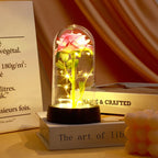 Rose Éternelle Sous Cloche Avec Lumière LED